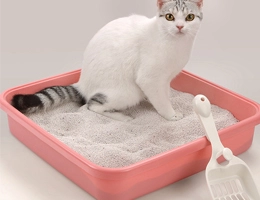 Environmentally Friendly Cat Litter