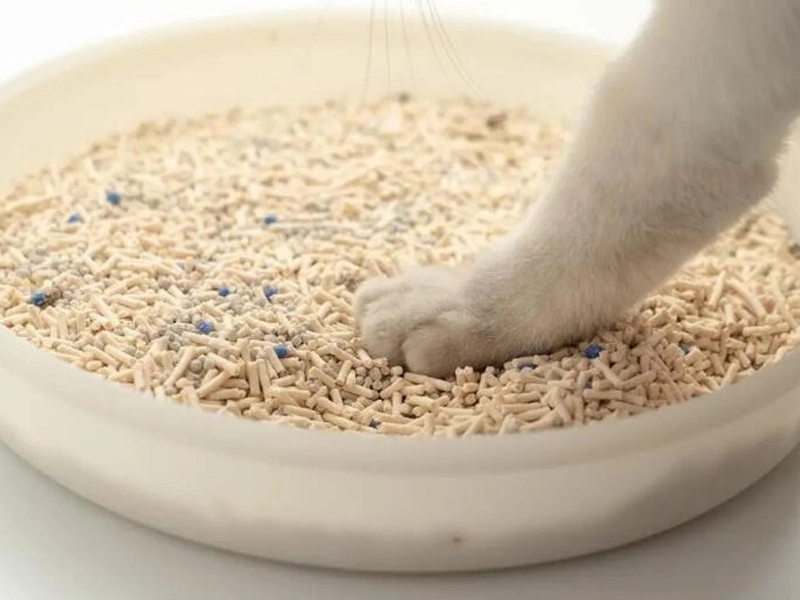 tofu cat litter