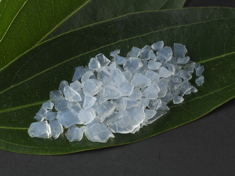 silica gel catalyst