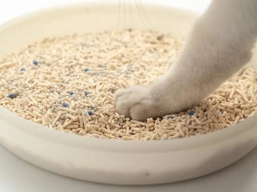 Tofu Cat Litter